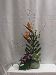 Island Breeze – Bolton Florist Inc, Bolton ON