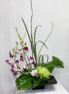 Peace & Zen – Bolton Florist Inc, Bolton ON