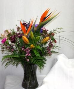 Tropical Breeze – Bolton Florist Inc, Bolton ON