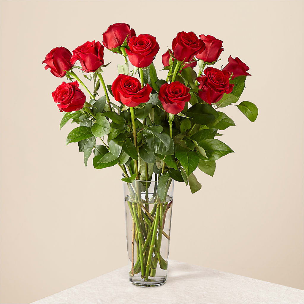 Long Stem Red Rose Bouquet – Bolton Florist Inc, Bolton ON