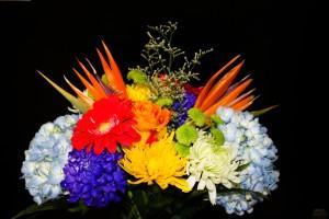 Birds of Paradise Bouquet – Bolton Florist Inc, Bolton ON