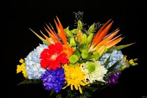 Ramo de aves del paraíso