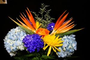 Birds of Paradise Bouquet – Bolton Florist Inc, Bolton ON