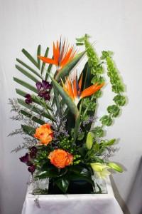 Birds of Paradise Arrangement – Bolton Florist Inc, Bolton ON