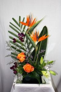 Birds of Paradise Arrangement – Bolton Florist Inc, Bolton ON