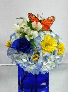 Feeling Blue – Bolton Florist Inc, Bolton ON