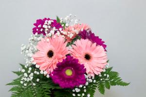 Gerbera Bouquet – Bolton Florist Inc, Bolton ON
