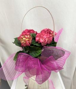 Panier à fleurs d'hortensias