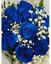 Valentine Blue Roses
