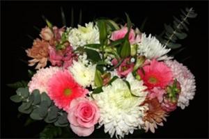Pretty and Pink – Bolton Florist Inc, Bolton ON