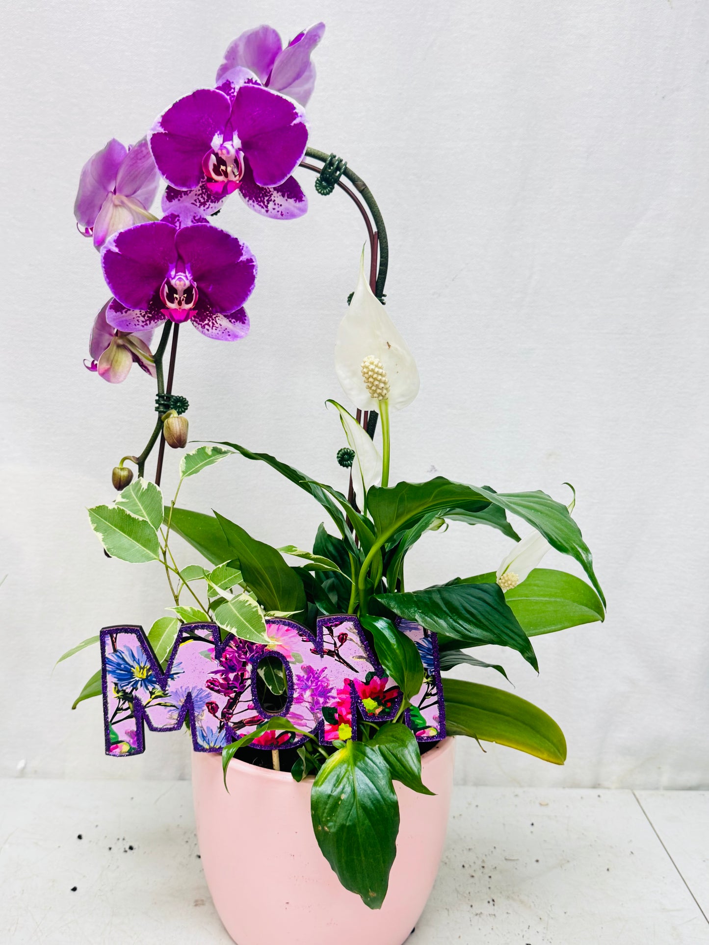 Orchid Dish Garden