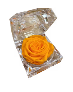 Ring Box Rose – Bolton Florist Inc, Bolton ON