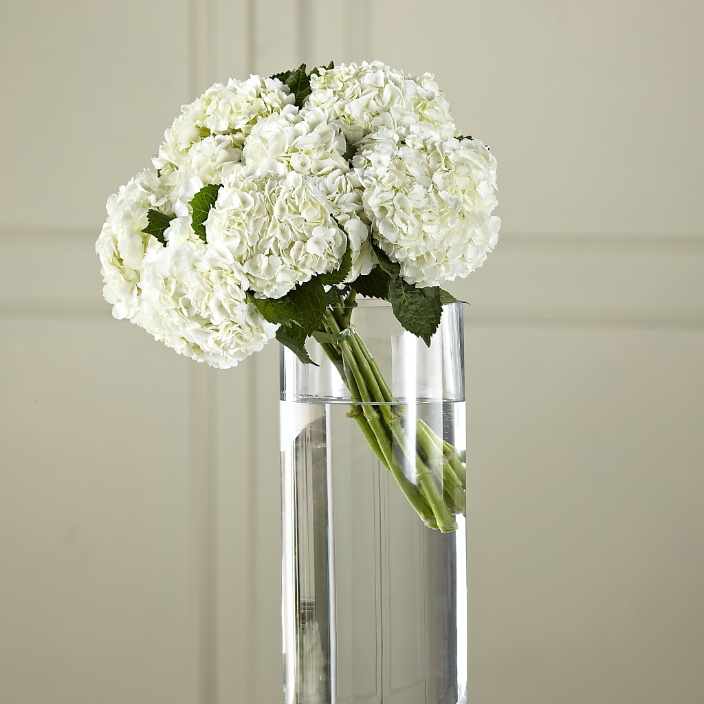 White Hydrangea Hand-Tied Bouquet – Bolton Florist Inc, Bolton ON