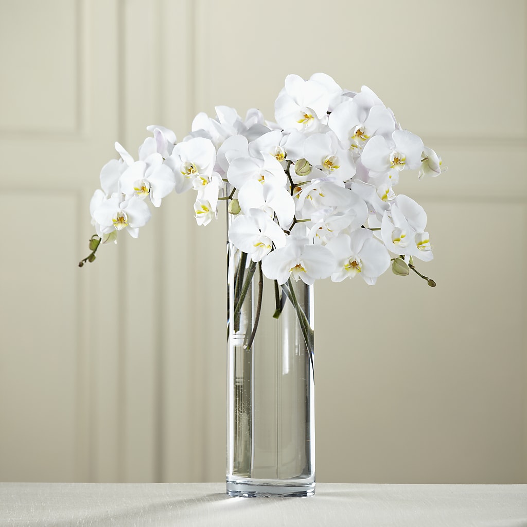 White Phalaenopsis Bouquet – Bolton Florist Inc, Bolton ON