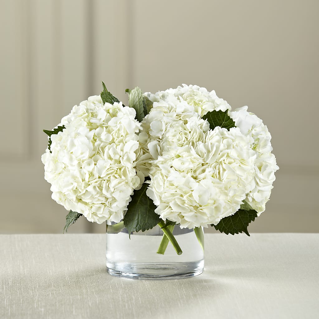 White Hydrangea Bouquet – Bolton Florist Inc, Bolton ON