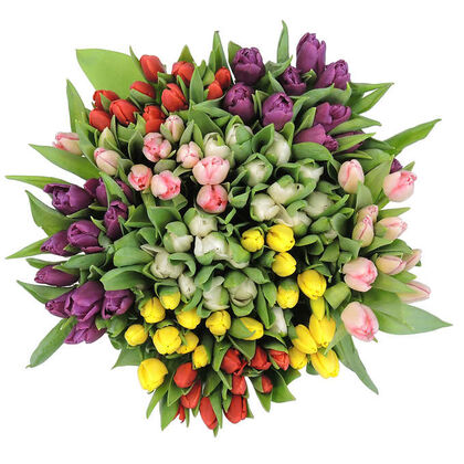 Assorted tulips
