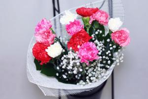 Large Carnation –  Bolton Florist Inc, Bolton ON