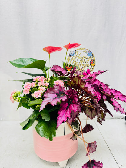 Florablush –  Bolton Florist Inc, Bolton ON