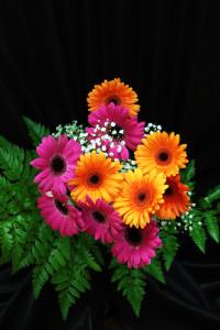 Bouquet de mini gerberas