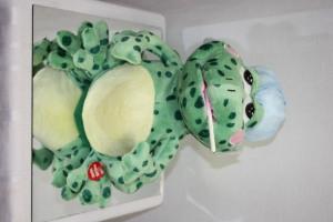 Singing Sick Frog –  Bolton Florist Inc, Bolton ON
