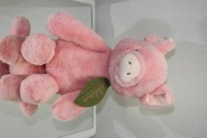 Stuffed Pig –  Bolton Florist Inc, Bolton ON