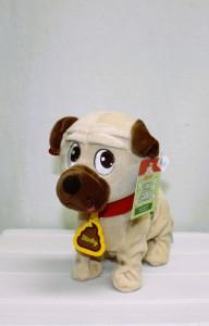 Stinky Sammy –  Bolton Florist Inc, Bolton ON