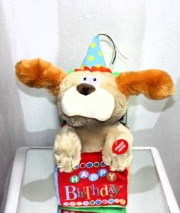 Flappy Birthday –  Bolton Florist Inc, Bolton ON