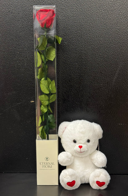 Preserved Rose –  Bolton Florist Inc, Bolton ON