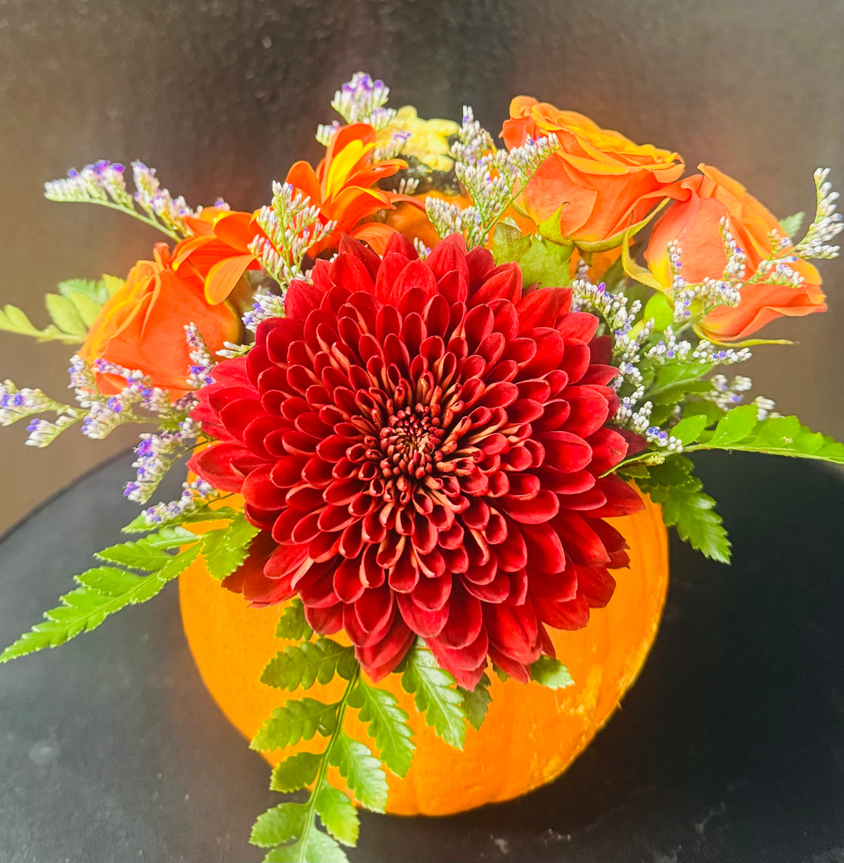 Pumpkin Pie  –  Bolton Florist Inc, Bolton ON