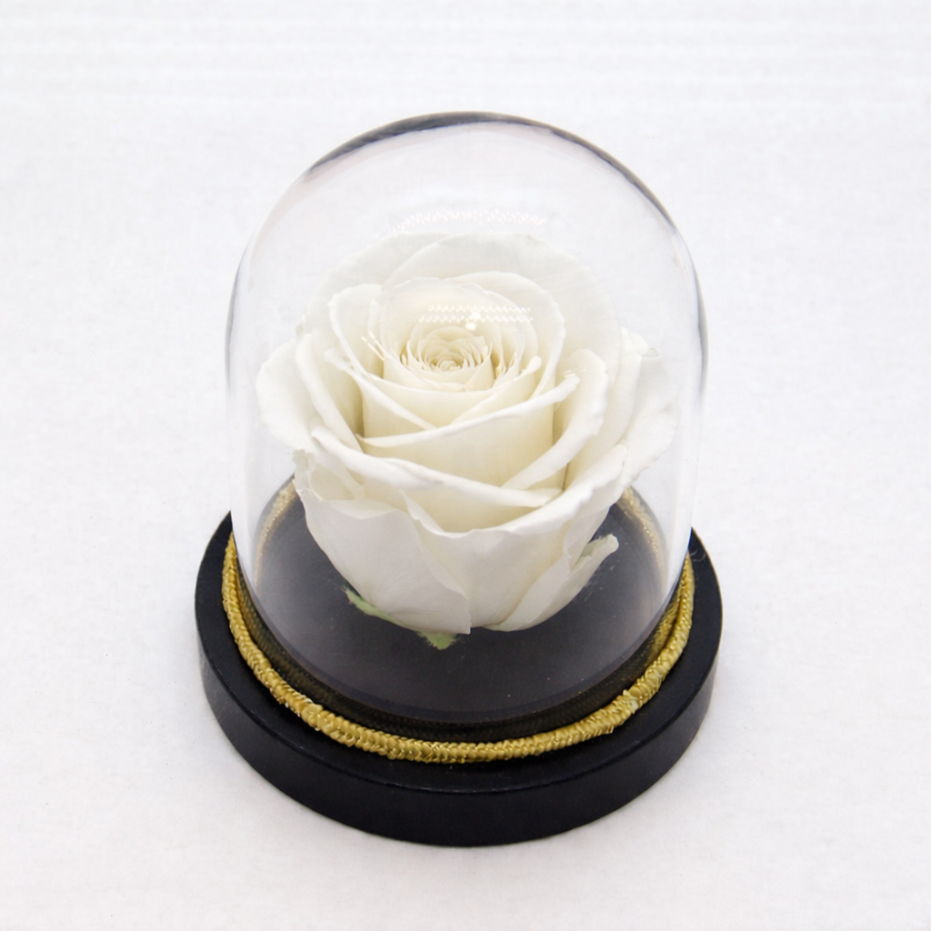Glam Rose Dome