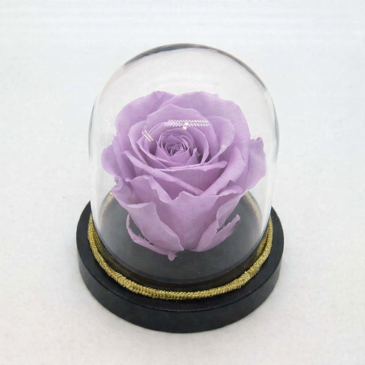 Glam Rose Dome