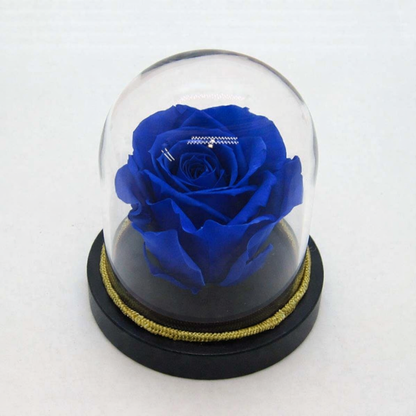 Glam Rose Dome
