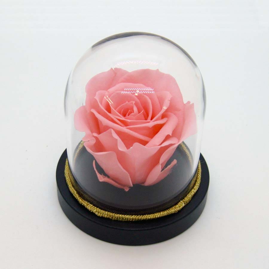 Glam Rose Dome