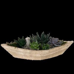 Bateau en bois pour plantes succulentes