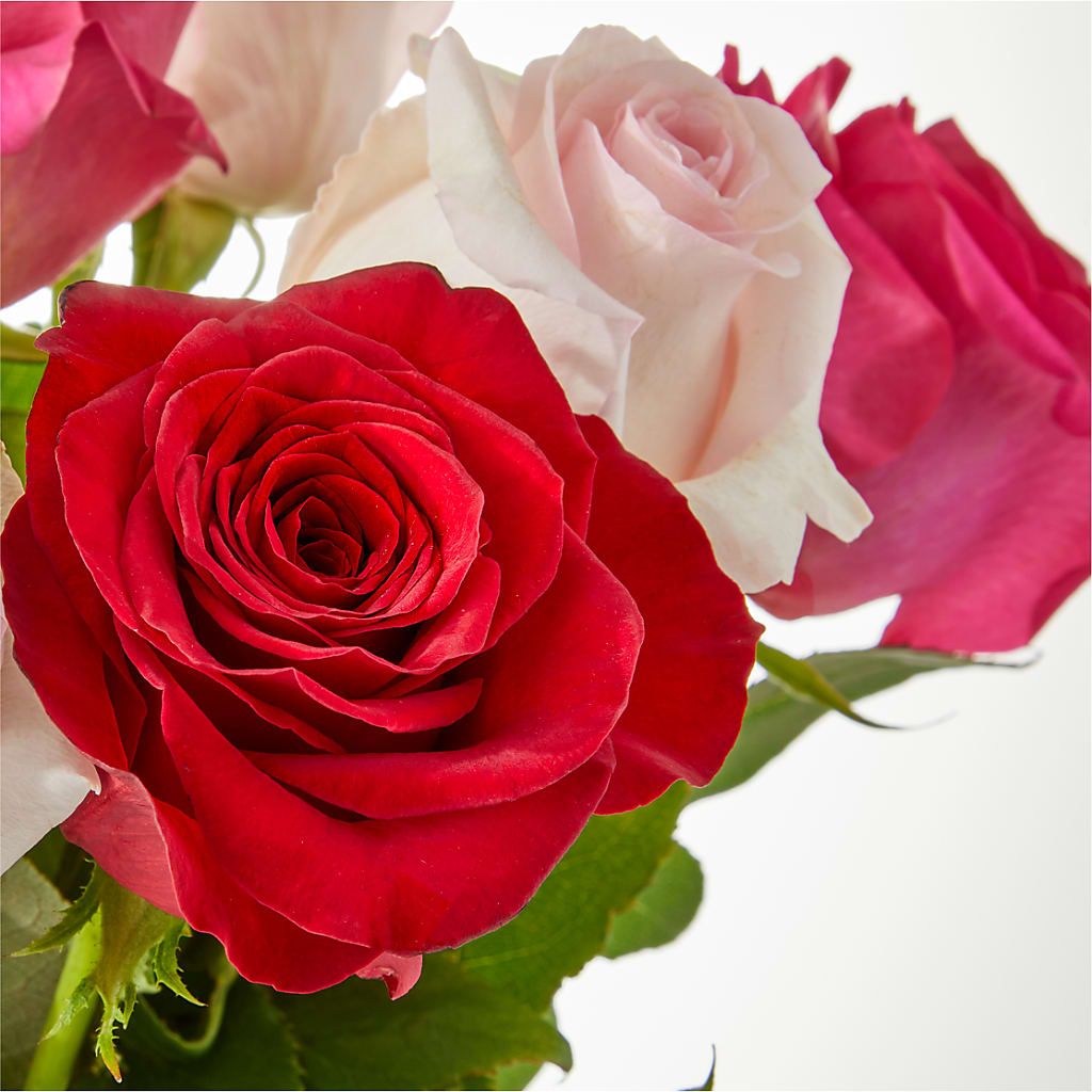 Charming Rose Bouquet –  Bolton Florist Inc, Bolton ON