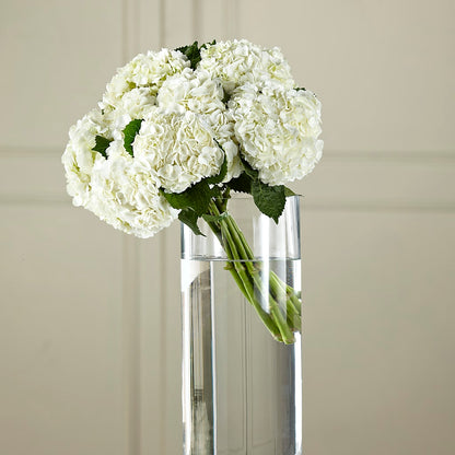 White Hydrangea Hand-Tied Bouquet –  Bolton Florist Inc, Bolton ON