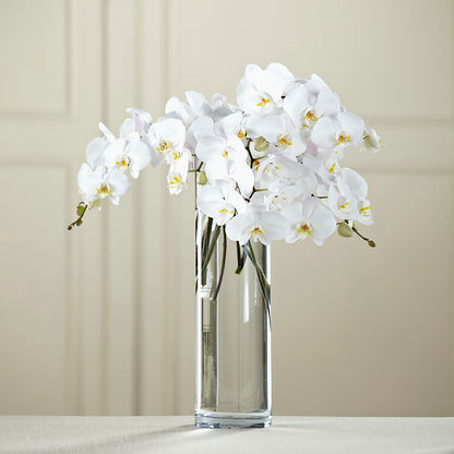 White Phalaenopsis Bouquet –  Bolton Florist Inc, Bolton ON