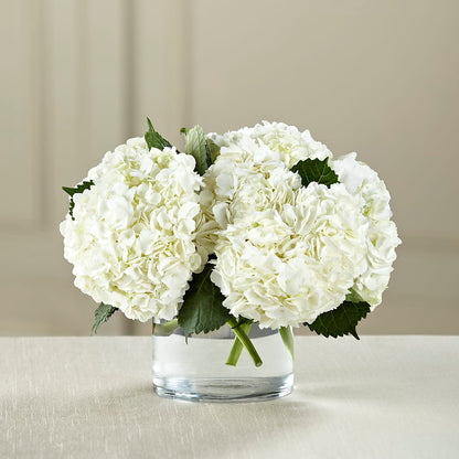 White Hydrangea Bouquet –  Bolton Florist Inc, Bolton ON