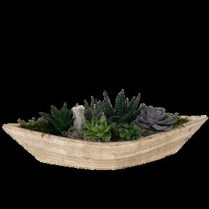 Wooden Succulent Boat