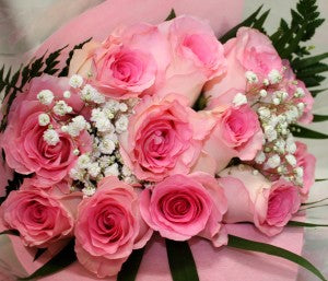 Hot Pink Roses