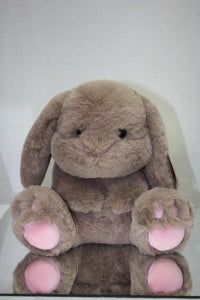 Stuffed Bunny