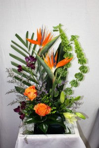 Birds of Paradise Arrangement