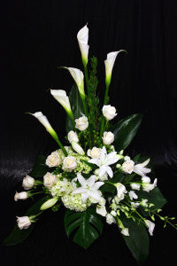 Funeral Arrangement