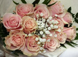 Light Pink Roses